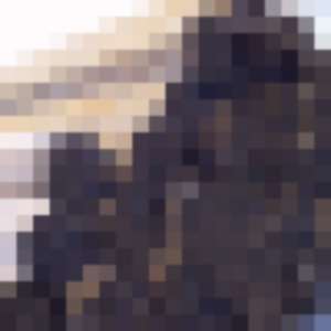 قیمت روز لوله و اتصالات فلزی